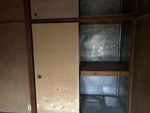 IMG_9984