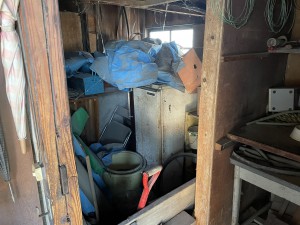 IMG_3019