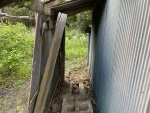 IMG_3144