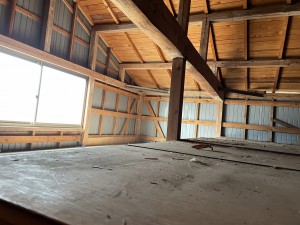IMG_3146